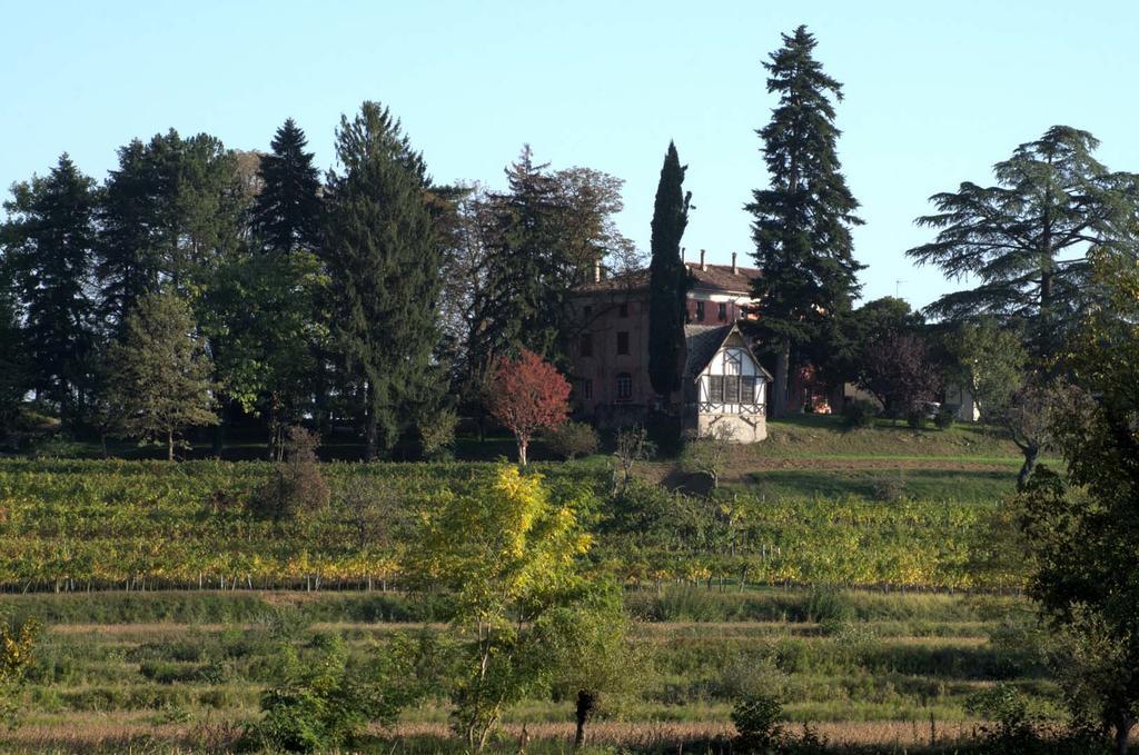 Casali Del Picchio - Winery Vila Cividale del Friuli Exterior foto