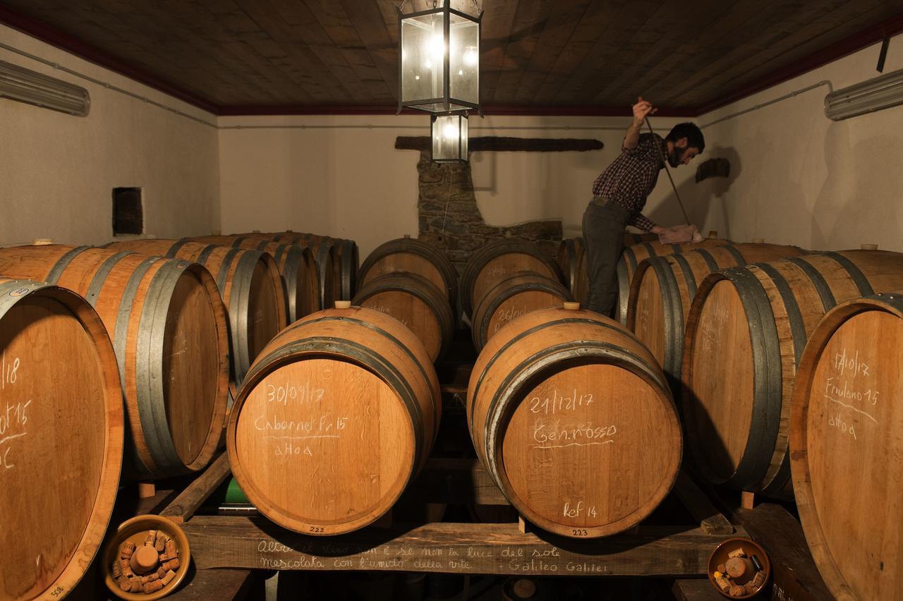 Casali Del Picchio - Winery Vila Cividale del Friuli Exterior foto